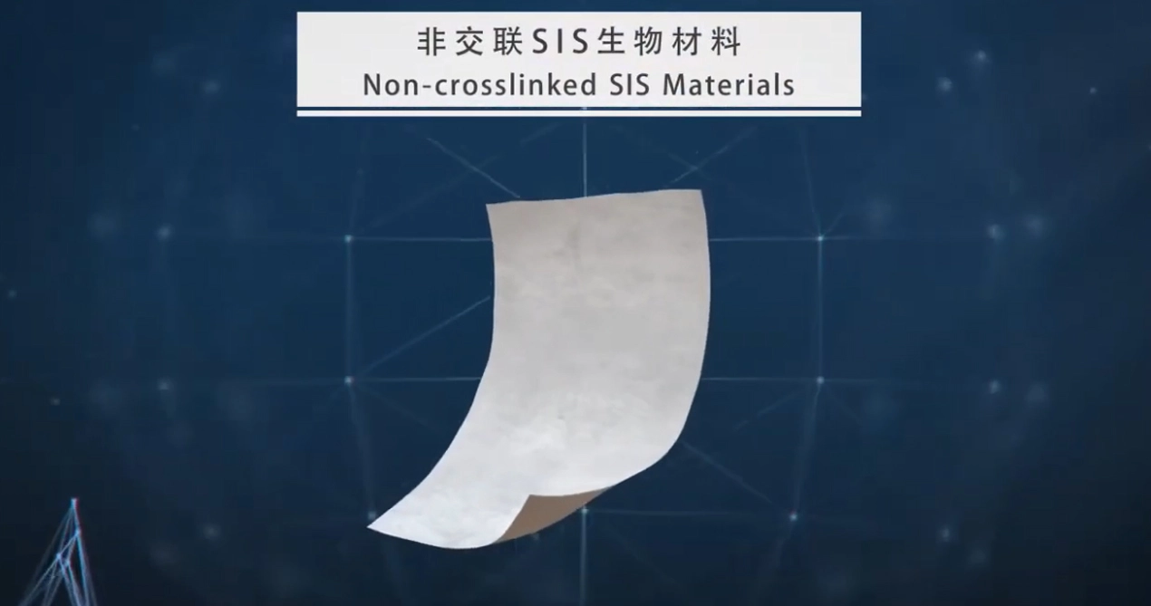 SIS شبكة قابلة للتجميع الحيوي