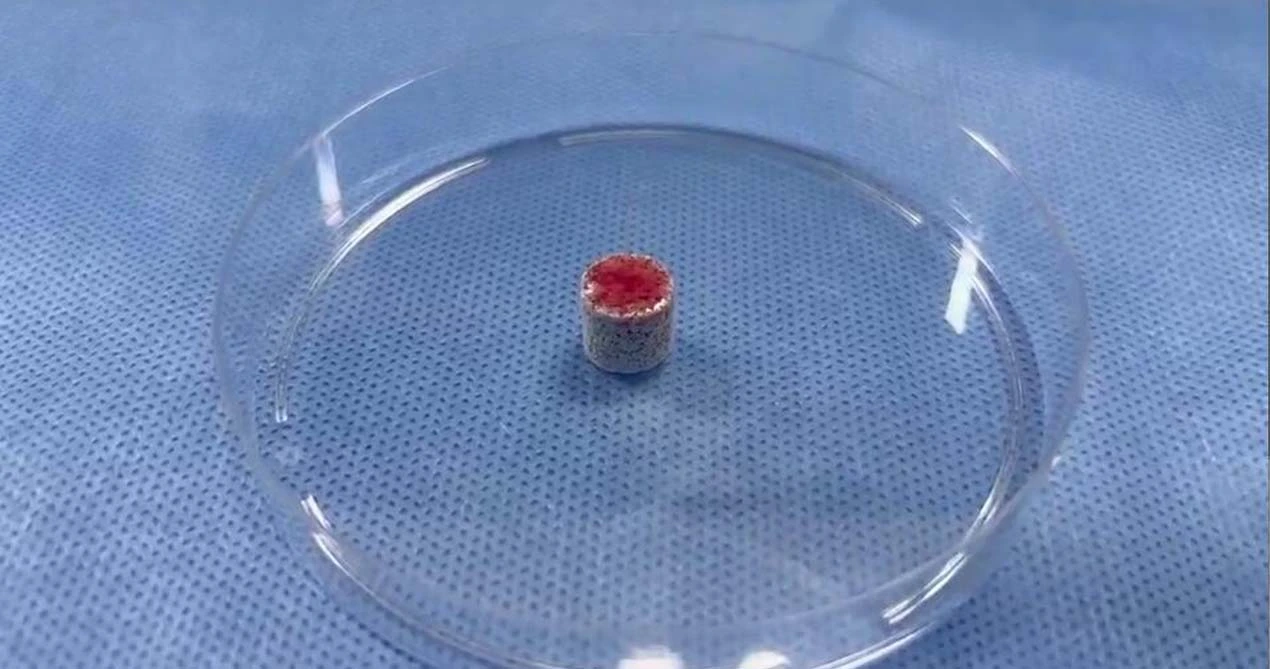 مواد تطعيم العظام