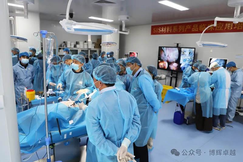 biosis-healing-10.jpg biosis-healing-10.jpg