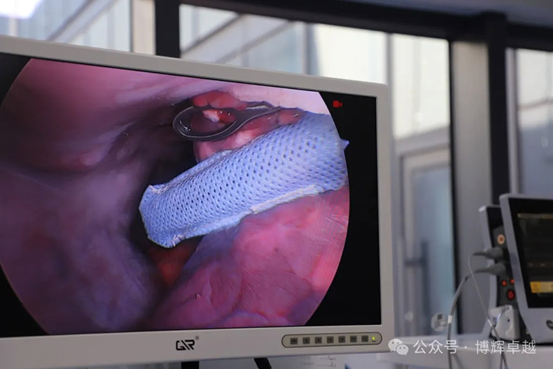 biosis-healing-11.jpg biosis-healing-11.jpg