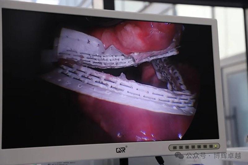 biosis-healing-12.jpg biosis-healing-12.jpg